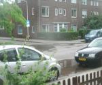 After normal rainfall may 2016 - credit inhabitant Bosbesstraat