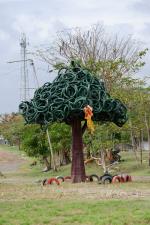 San Miguel tyre tree