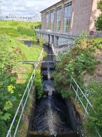 The fish ladder. 