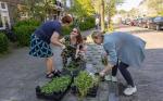 planting of the Grunngrastegels with residents