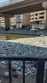 A plastic soup of thousands of plastics covering the water of the canal.