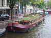 Amsterdam, groen dak / urban farming (woonboot)