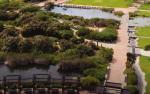 Wetland/park source: chrome-extension://efaidnbmnnnibpcajpcglclefindmkaj/https://resource.capetown.gov.za/documentcentre/Documents/City%20research%20reports%20and%20review/CCT_Liveable_urban_waterways_Case_Studies.pdf