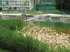 Telecom Park TaiPei (green roofs, water reuse)
