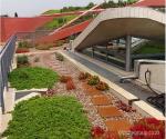 Green roof (source: Insite Group)