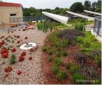 Green roof (source: Insite Group)