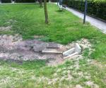Inspectie voor bodemvervanging 6 juli 2012 - credit by gemeente Nijmegen