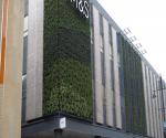Source: https://www.ansgroupglobal.com/news/supporting-marks-and-spencer-living-wall-installation