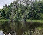 The pond STAW na DĄBROWIE
